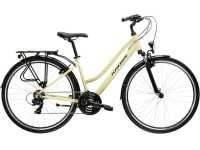 bic.kross trans 1.0 beige lady krtr1z28x