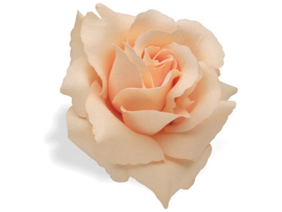 flor guiador electra cream rose 328637