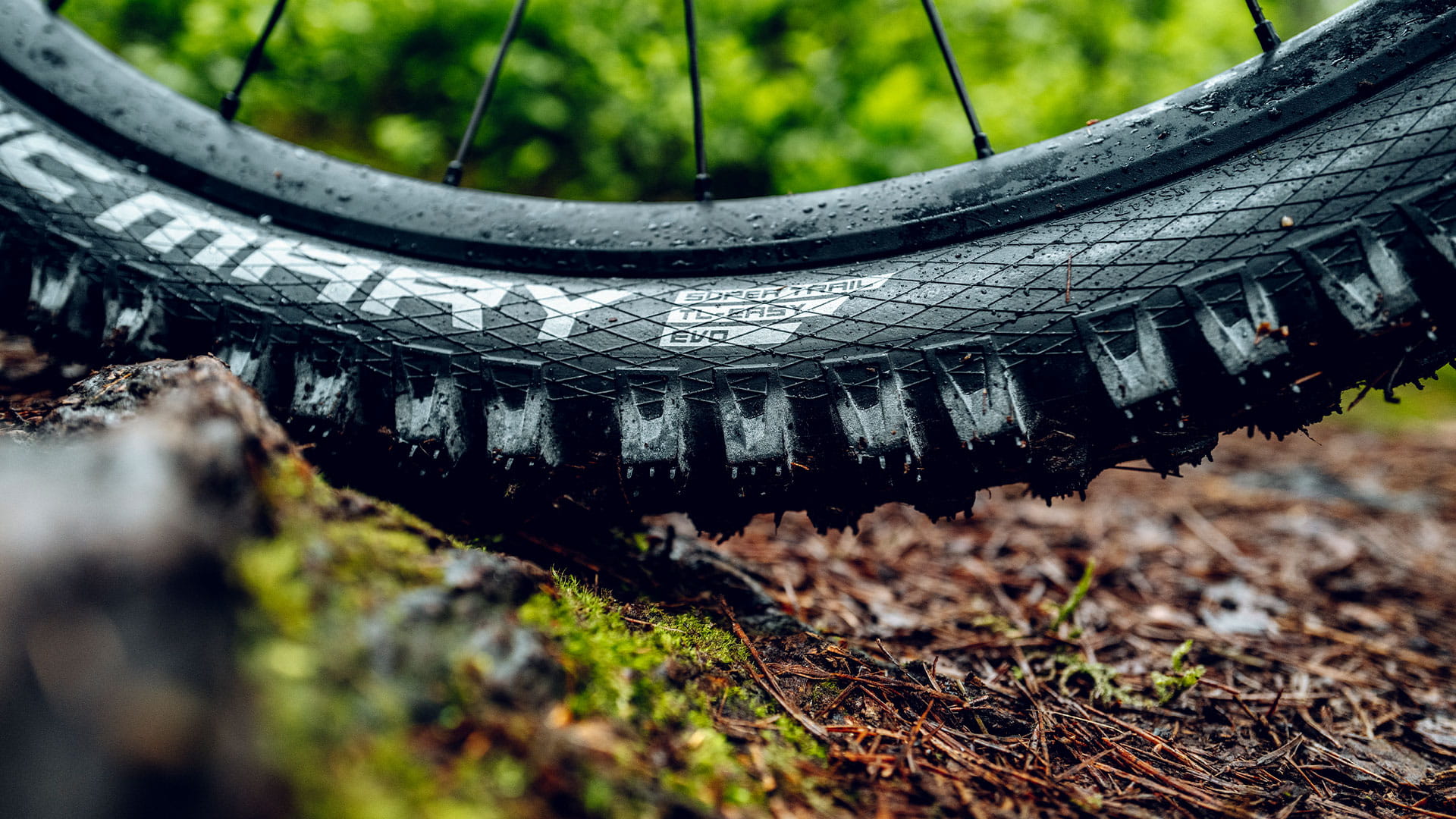 CONHECE A GAMA DEPNEUS RADIAIS SCHWALBE